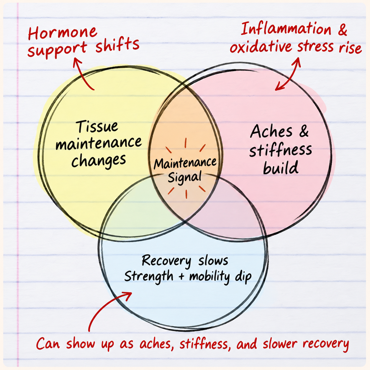 How menopause-related changes can show up as aches, stiffness and slower recovery
